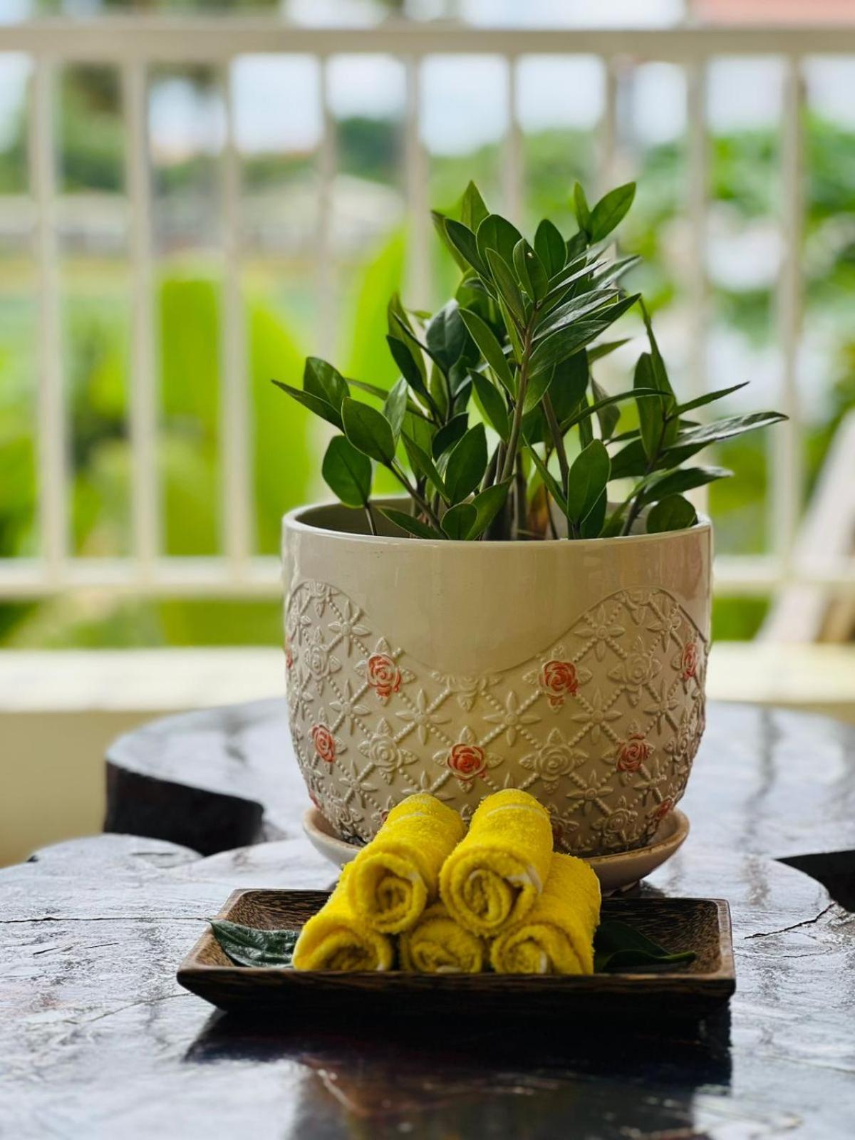 Homestay Yellow Natural House Siem Reap Exterior foto